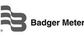 Badger Meter