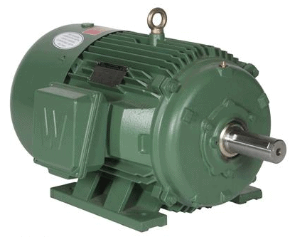 Premium Efficiency Electric Motor